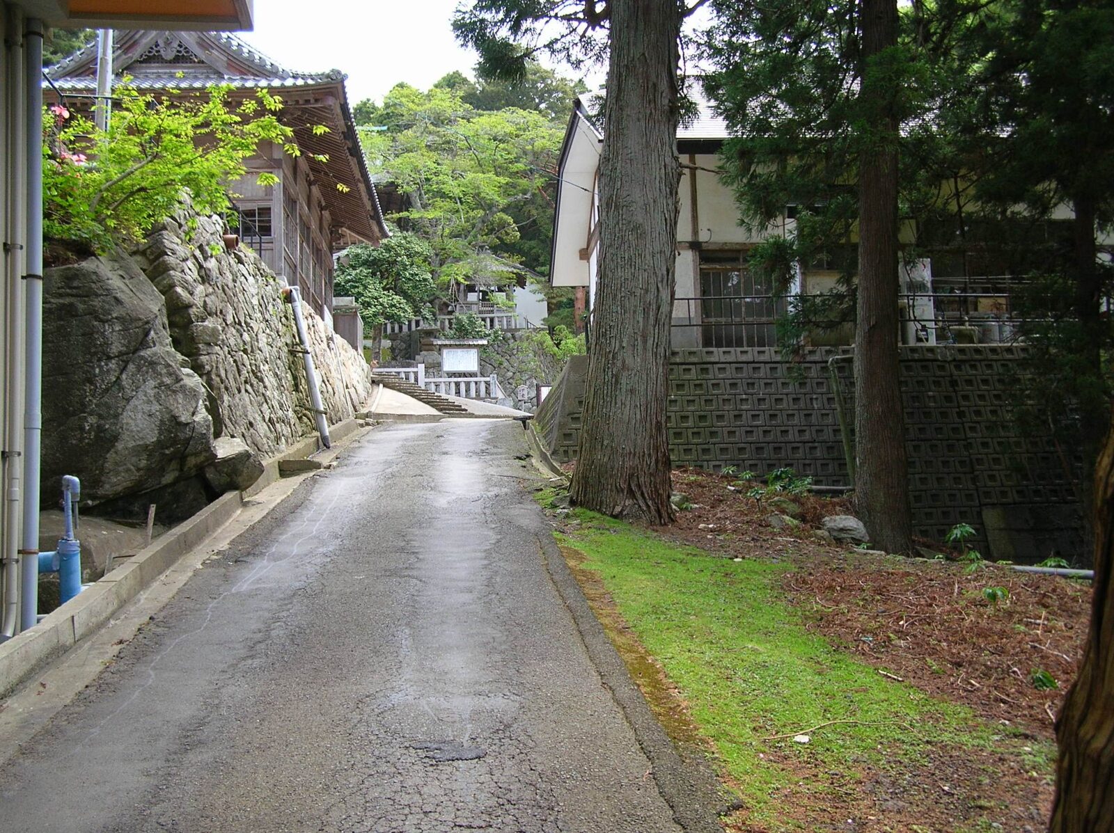 金華山黄金山神社の裏参道