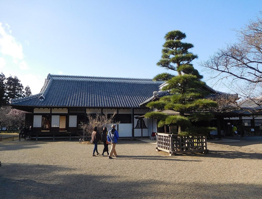 弘道館の正庁と梅の木