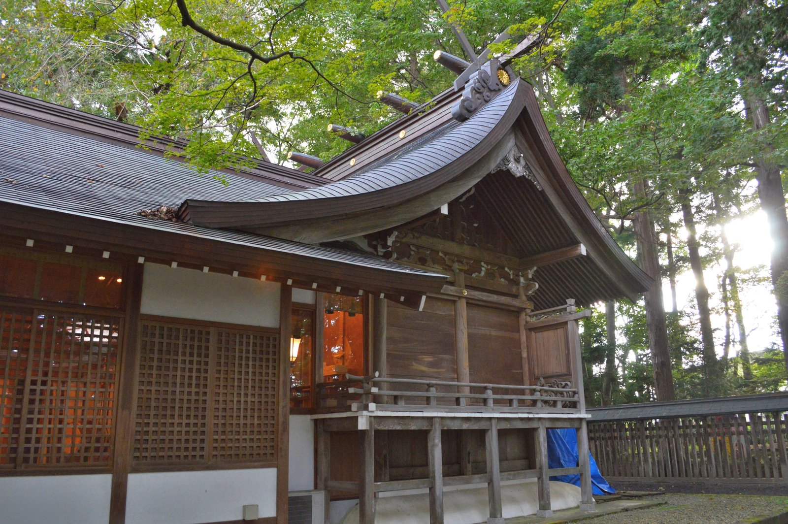 駒形神社の本殿