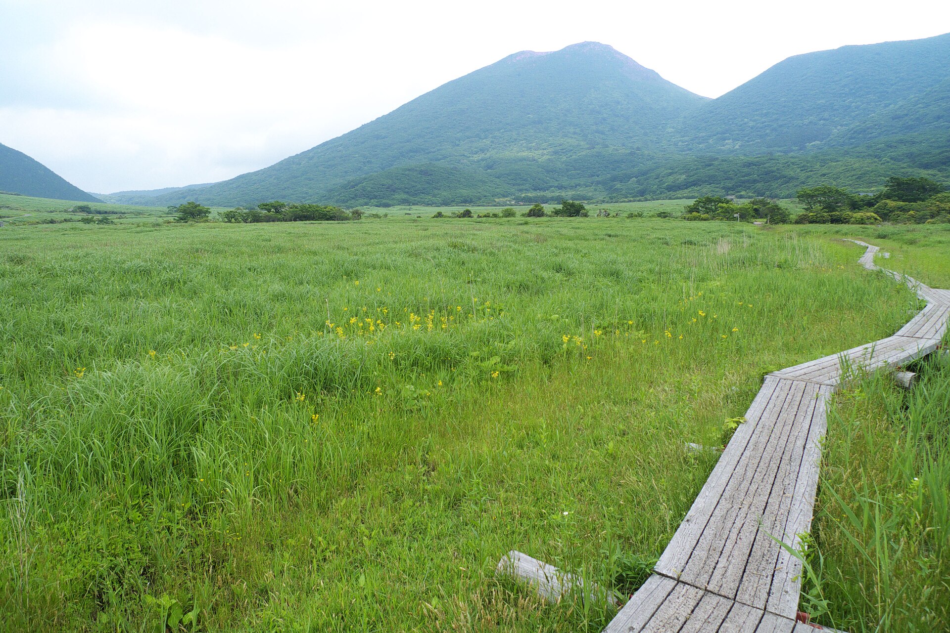 坊ガツル湿原とくじゅう連山の登山道