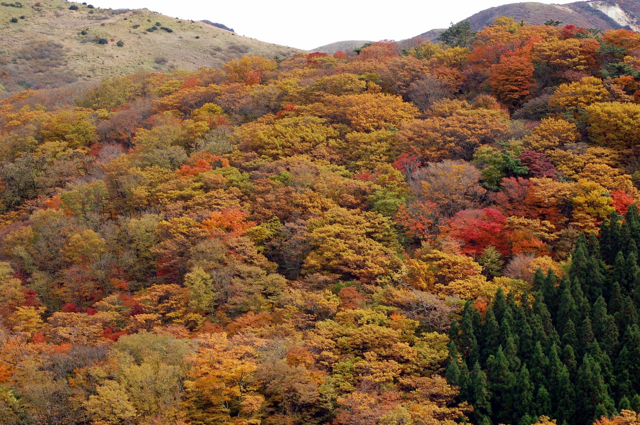 瀬の本高原から望む360度の山並みと空