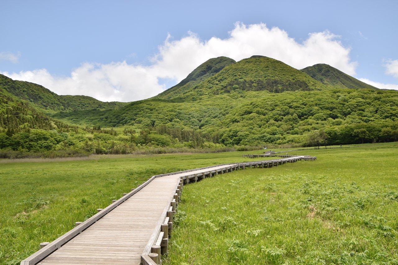 タデ原湿原の木道とくじゅう連山の眺め