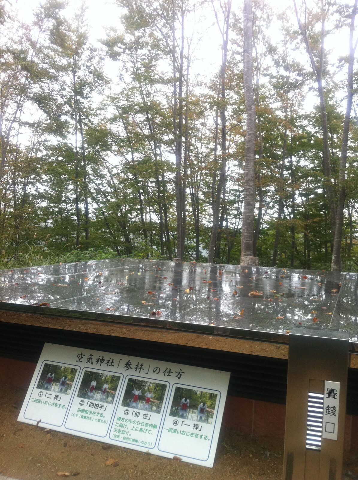 空気神社のステンレス製の鏡に映るブナ林と紅葉の落ち葉