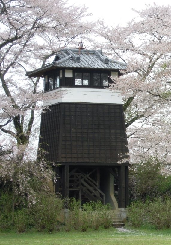 黒羽城址公園に復元された櫓、桜の木々に囲まれて