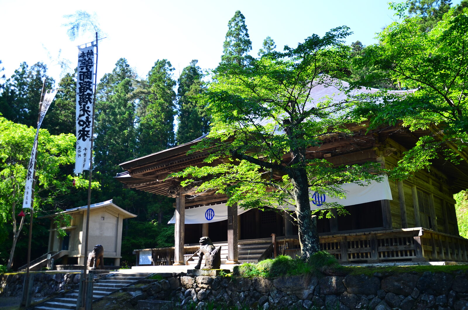 新緑に包まれた黒石寺の境内と本堂