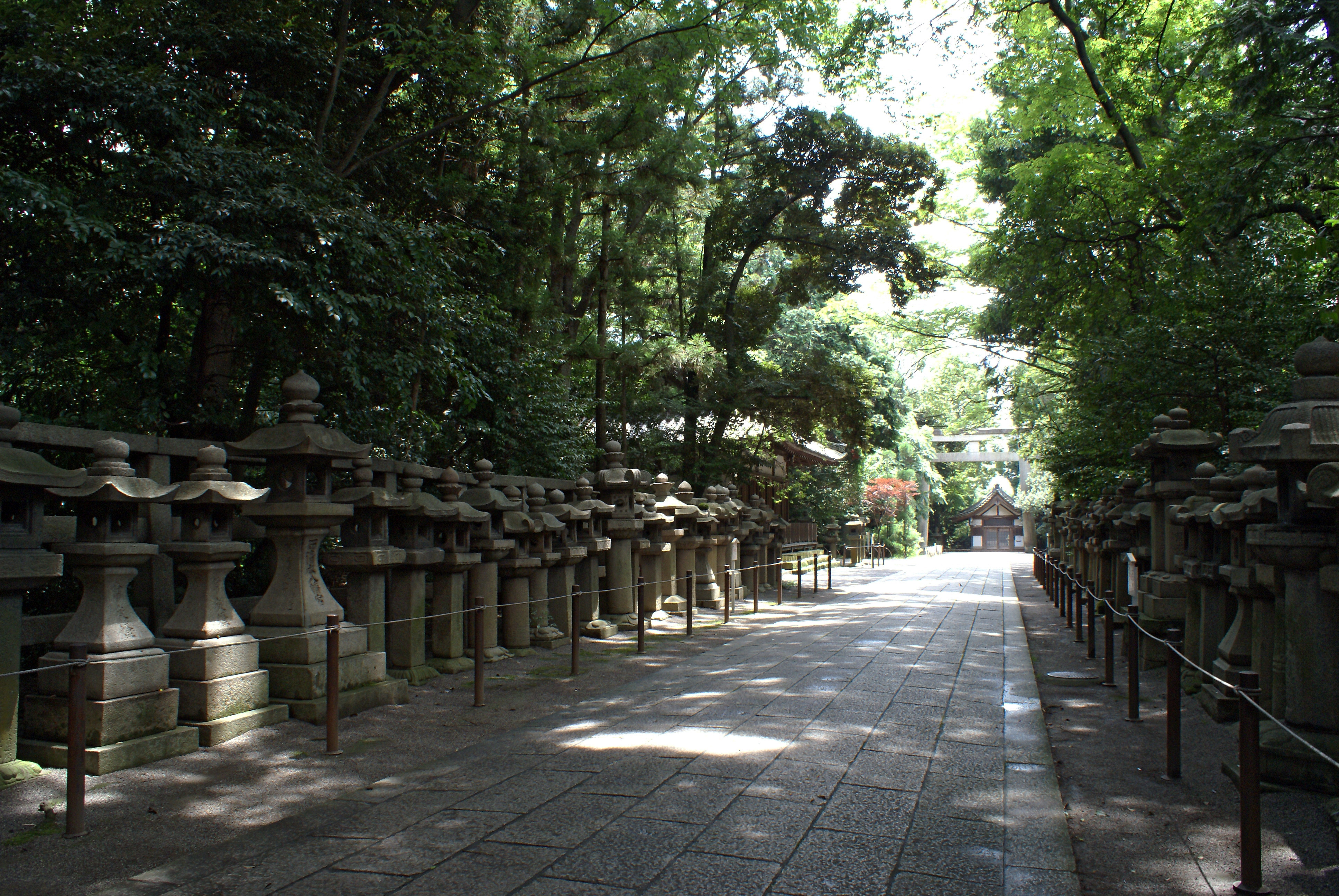 石清水八幡宮の石灯籠が連なる参道