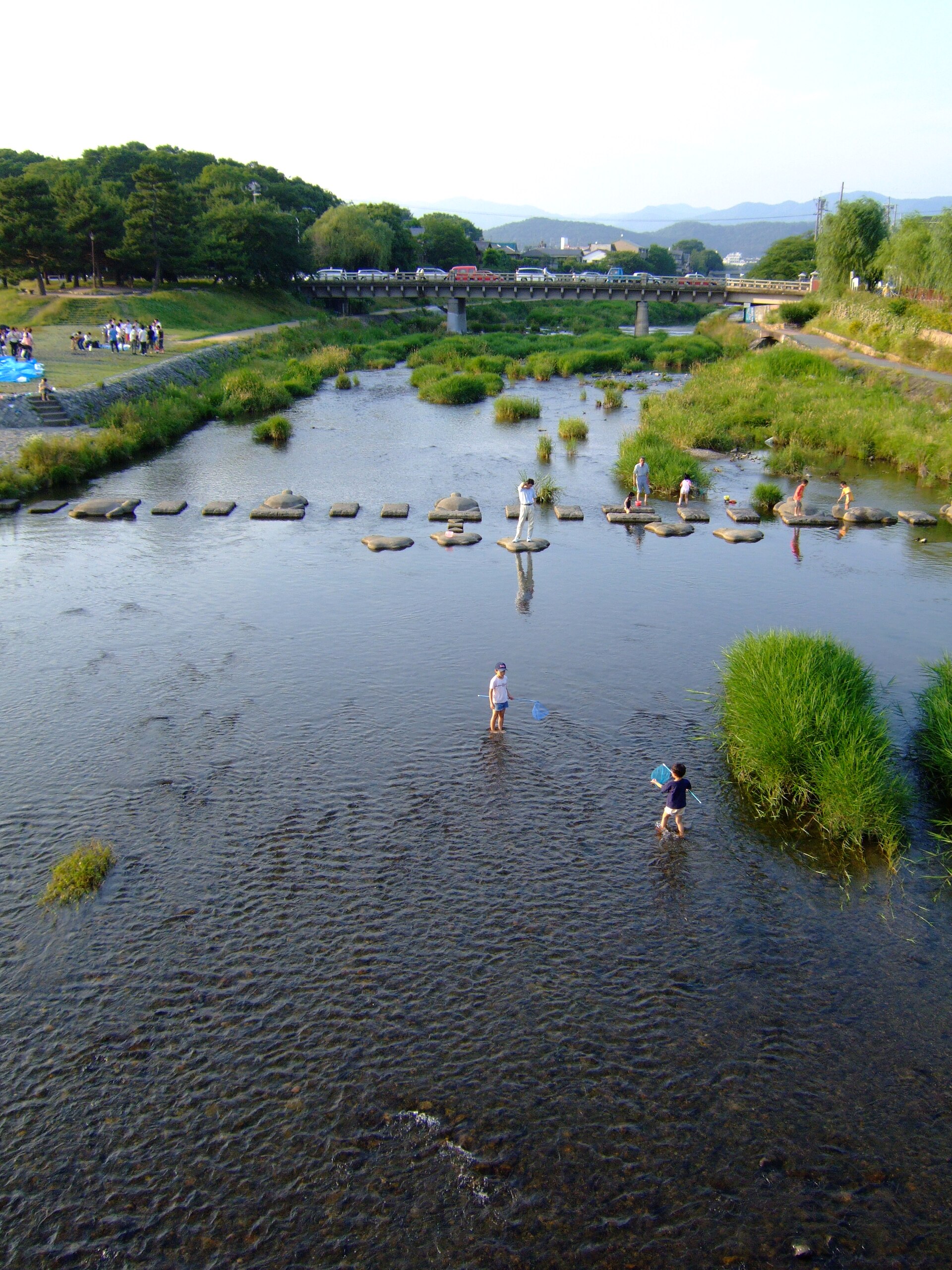 鴨川デルタの浅瀬で網を持って川遊びをする子どもたち