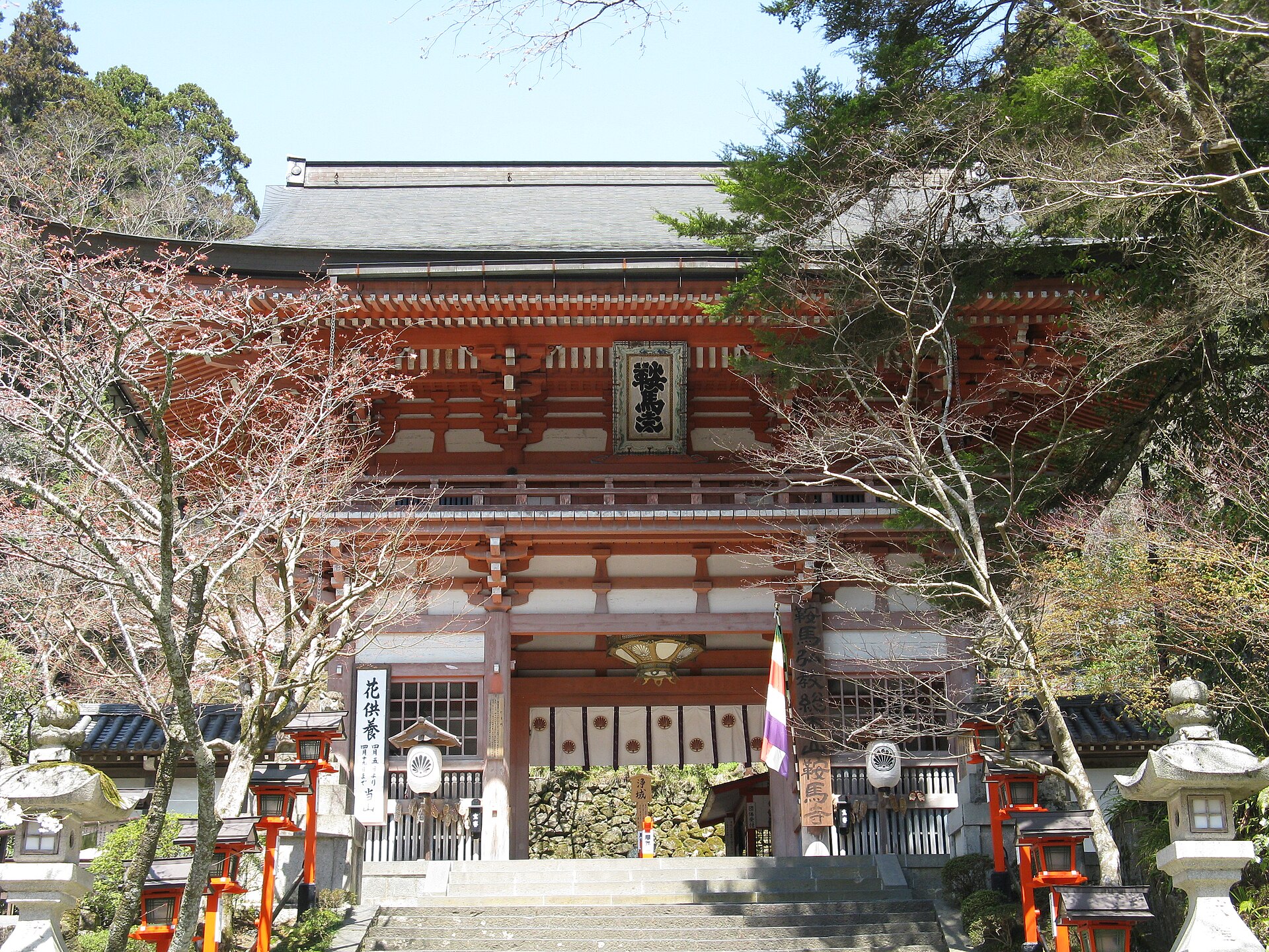 鞍馬寺の杉木立に続く木の根道