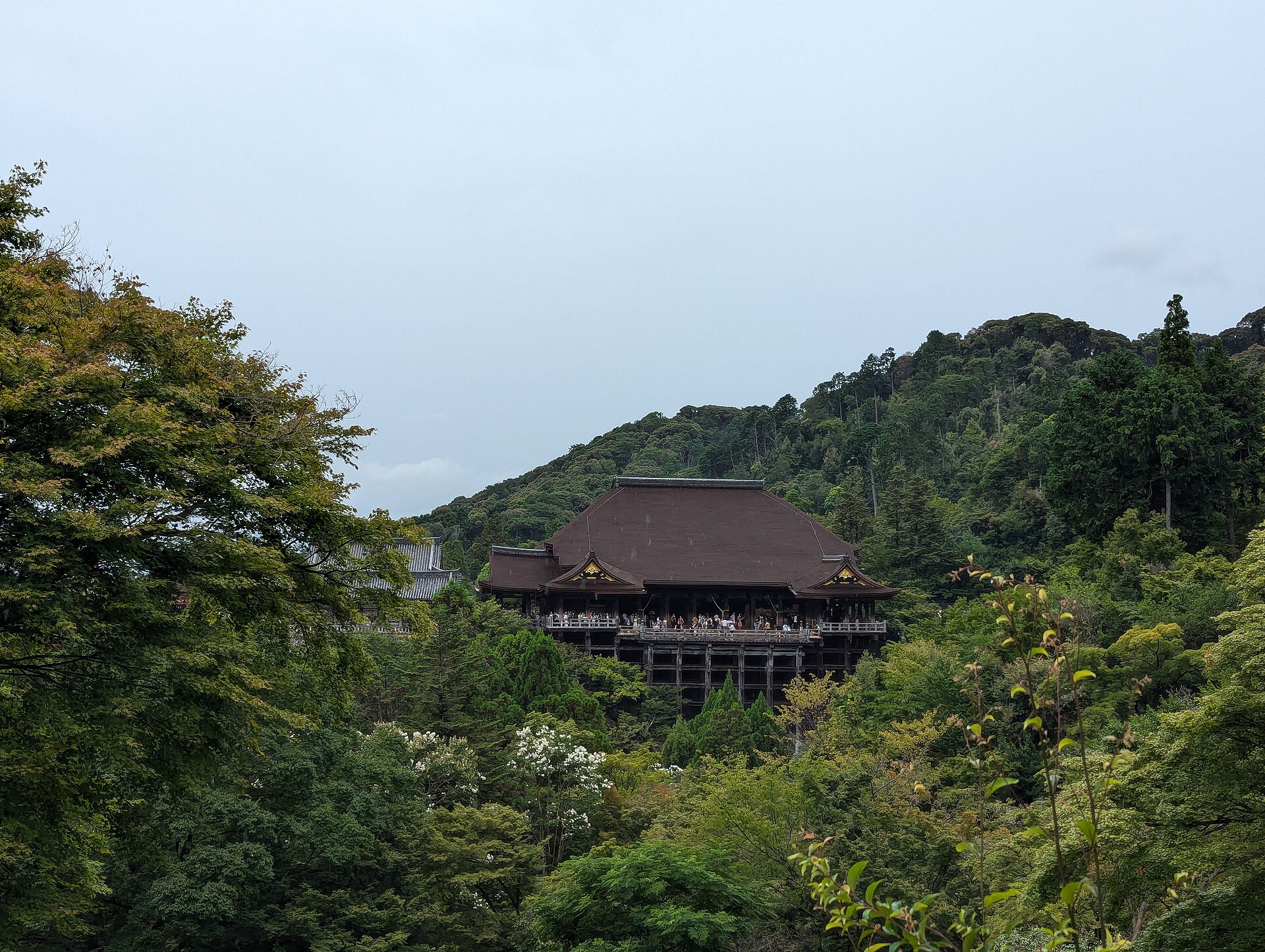 新緑に包まれた清水寺の本堂と舞台