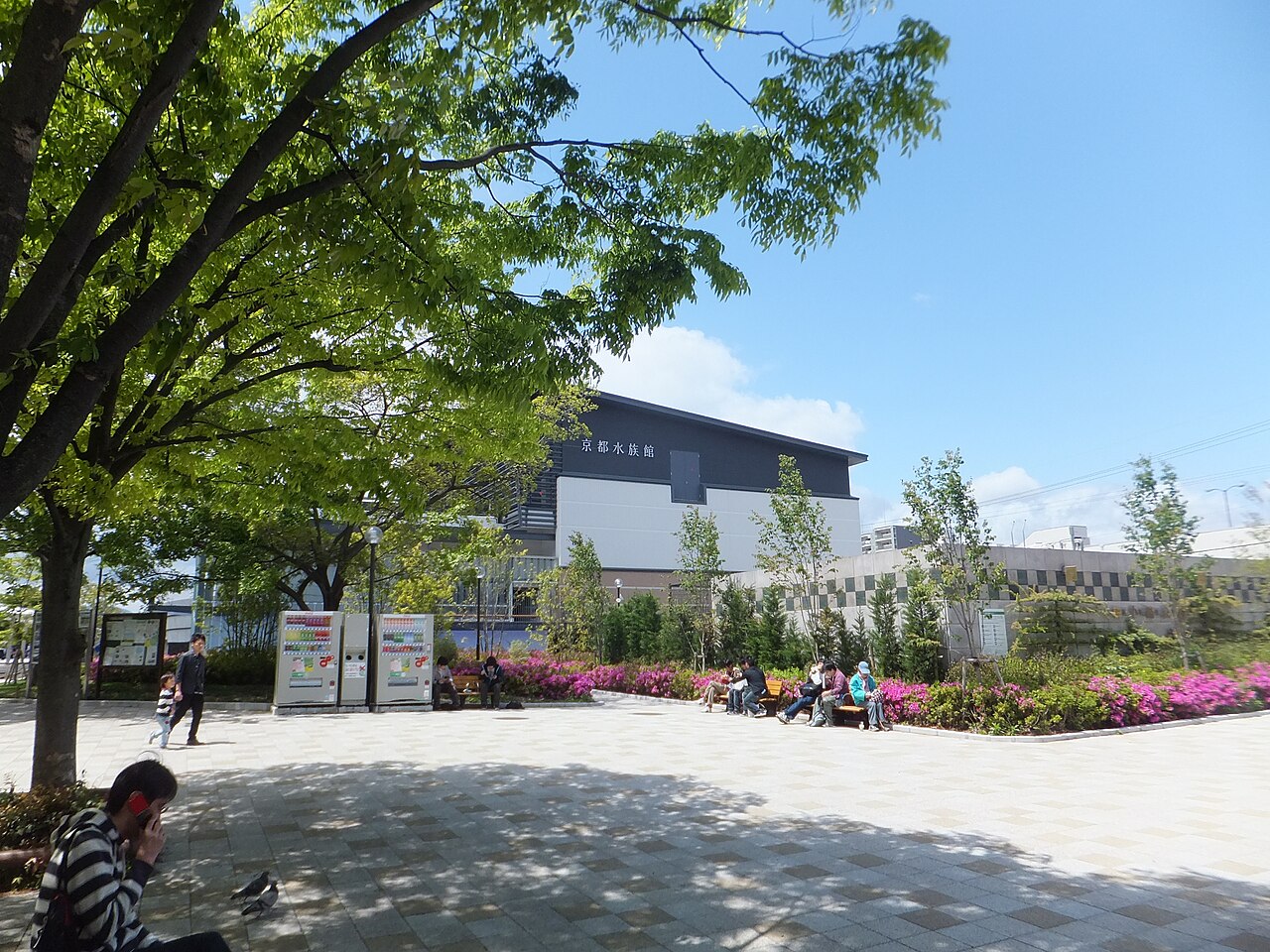 梅小路公園の木陰から望む京都水族館の建物