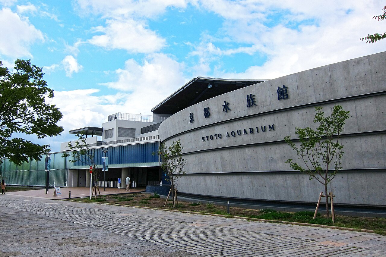 京都水族館の大水槽とイルカスタジアム