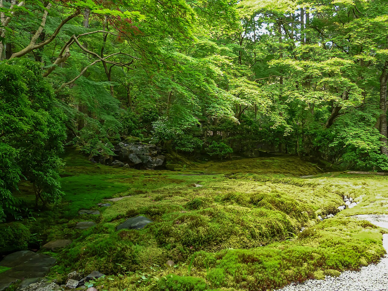瑠璃光院の瑠璃の庭、青もみじと一面の苔