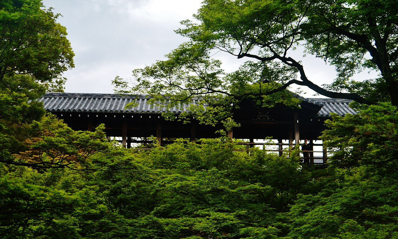 青もみじ越しに見上げる東福寺 通天橋