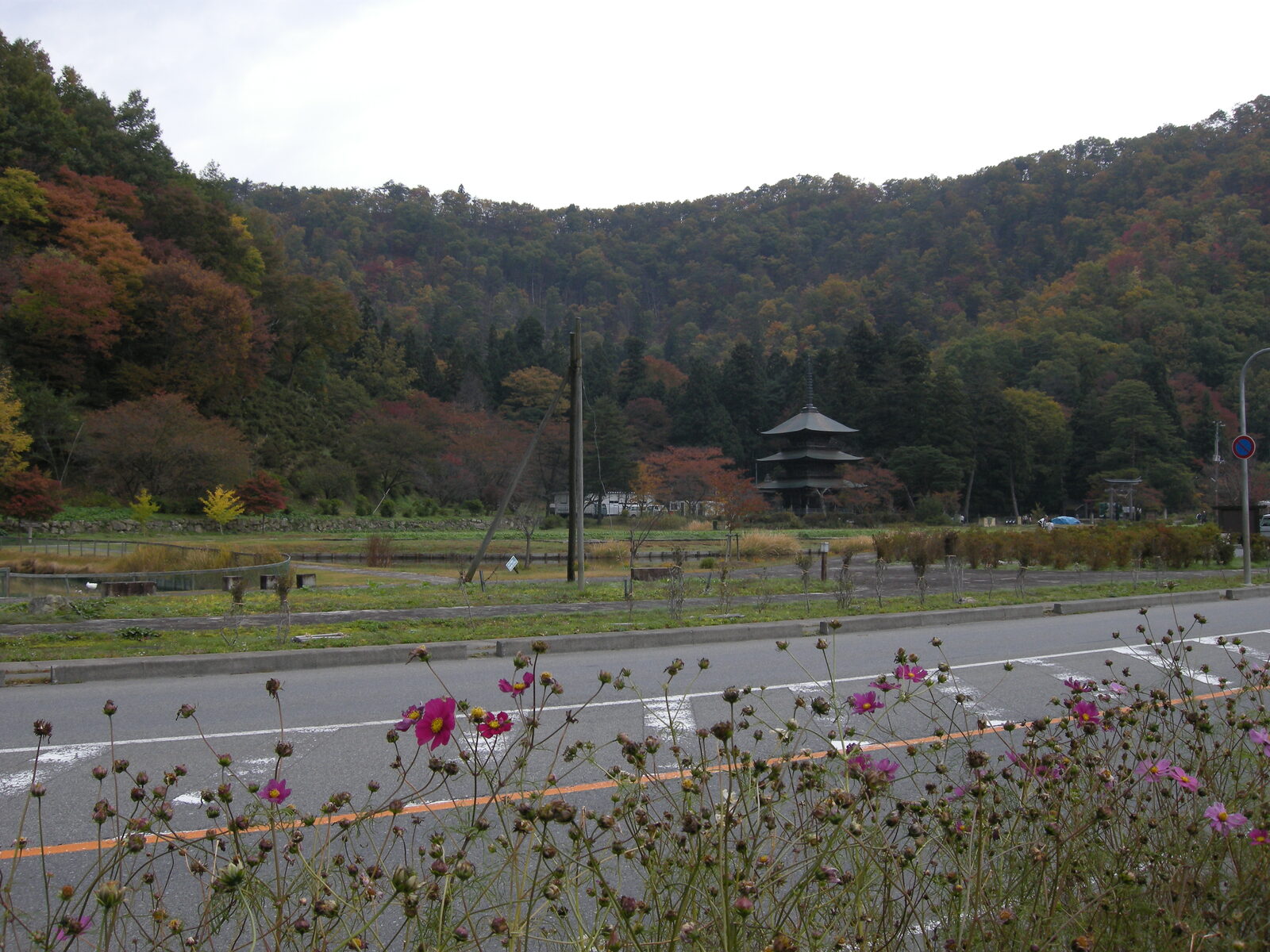 まほろば古の里歴史公園の縄文竪穴住居