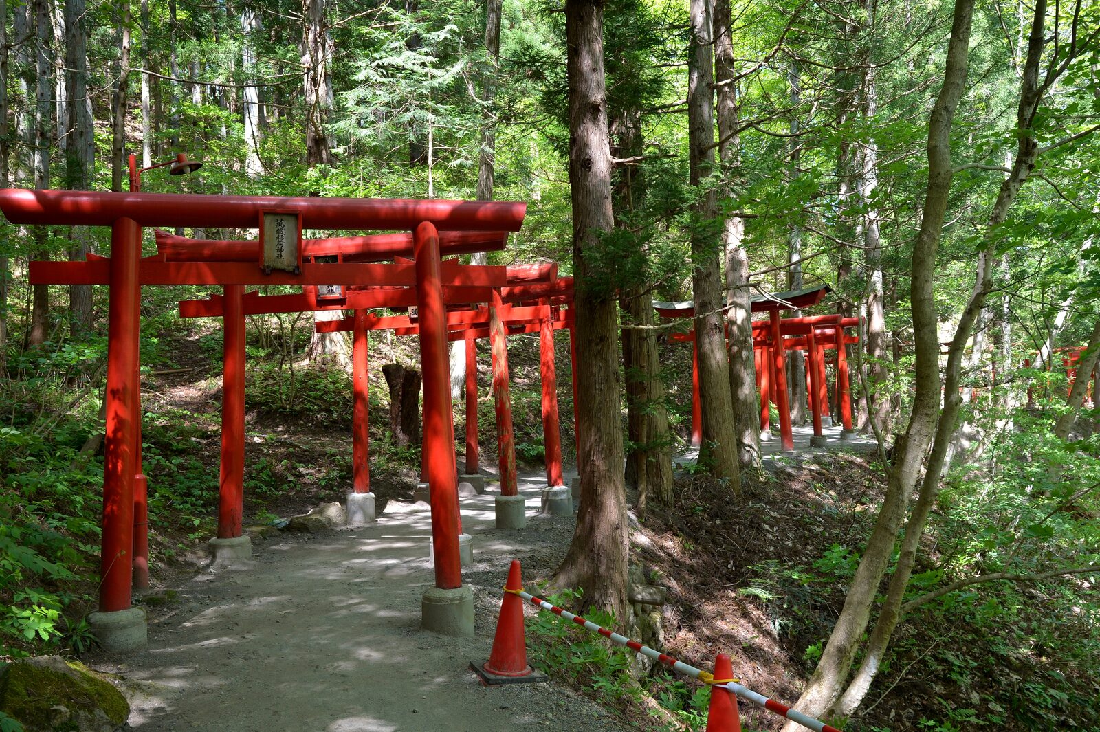 萬蔵稲荷神社、山中の参道に連なる100基を超える朱鳥居