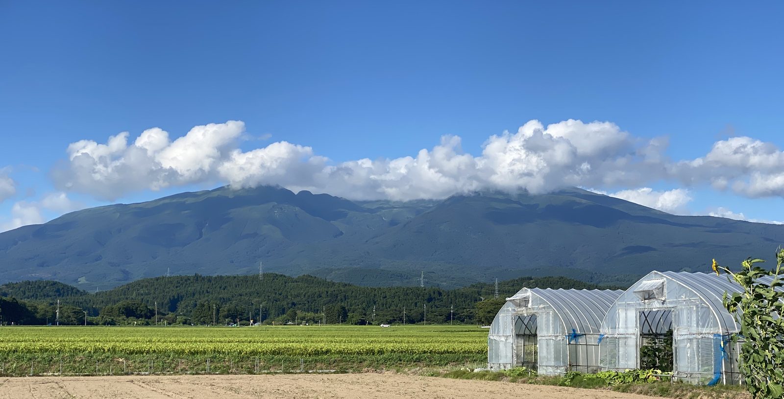 鳥海山を望む遊佐町の里山風景
