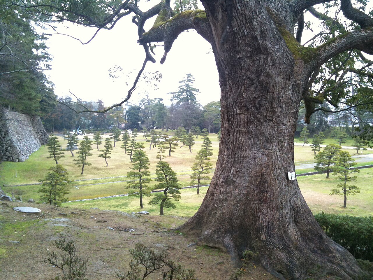 松江市街の風景