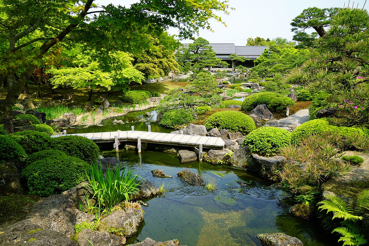 由志園の池泉回遊式庭園、木橋と刈り込まれた松、池に映る木々