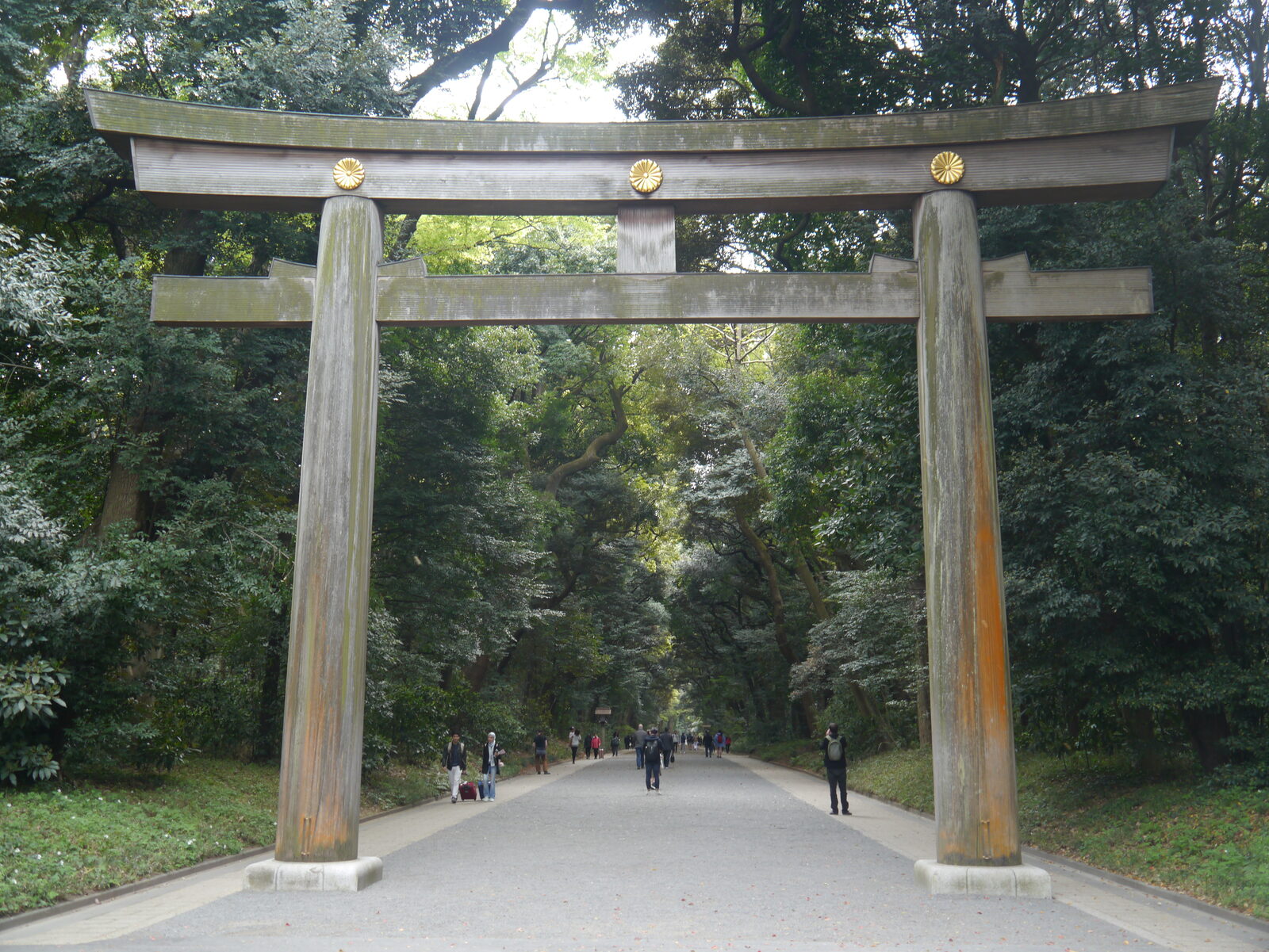 明治神宮 南参道の大鳥居