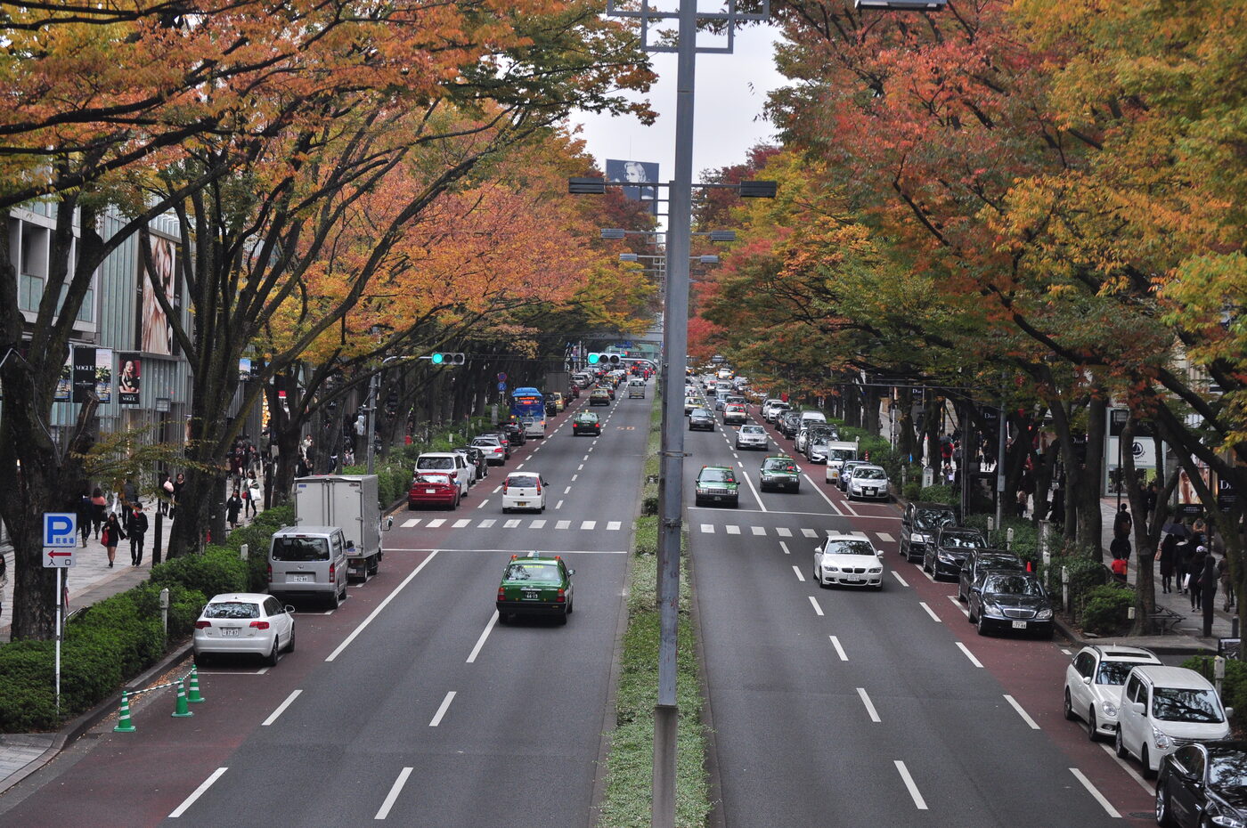 表参道のけやき並木