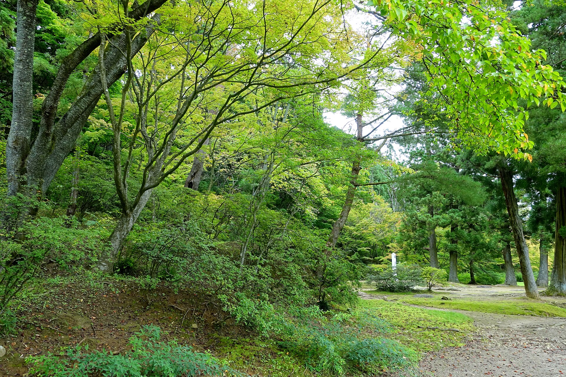 毛越寺の浄土庭園と大泉が池
