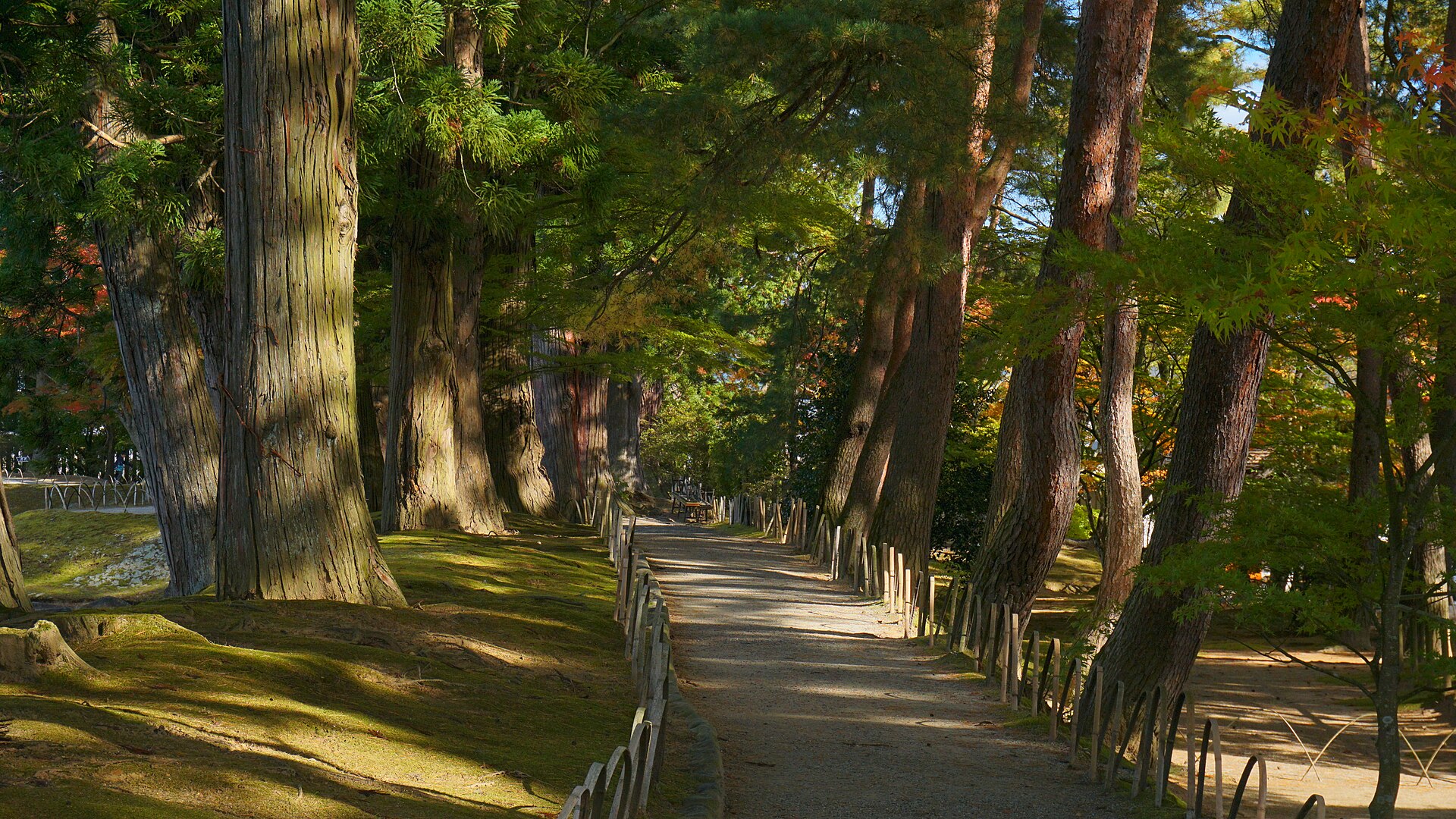 浄土庭園の遣水と園路