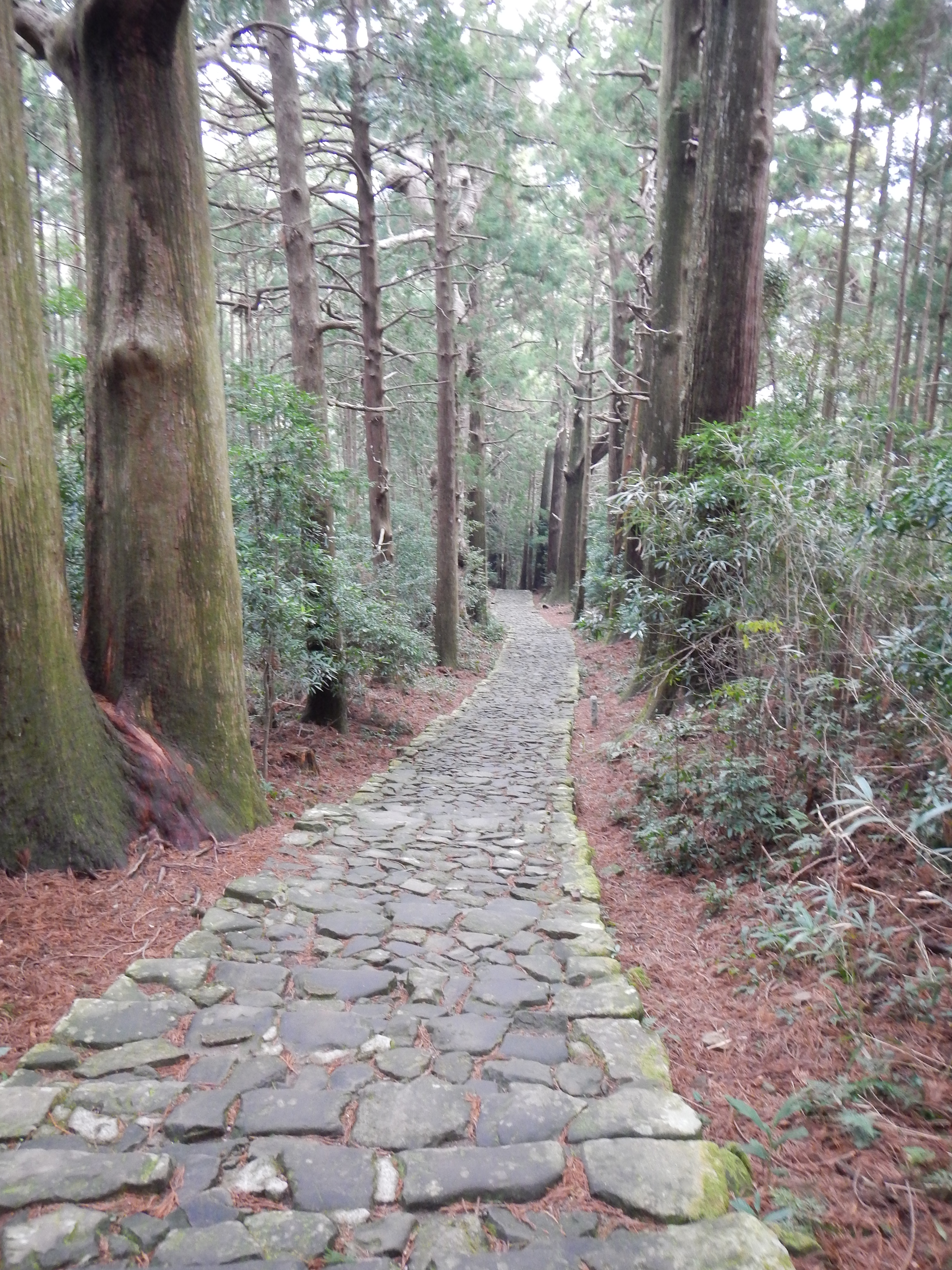大門坂入口の振ヶ瀬橋と鳥居