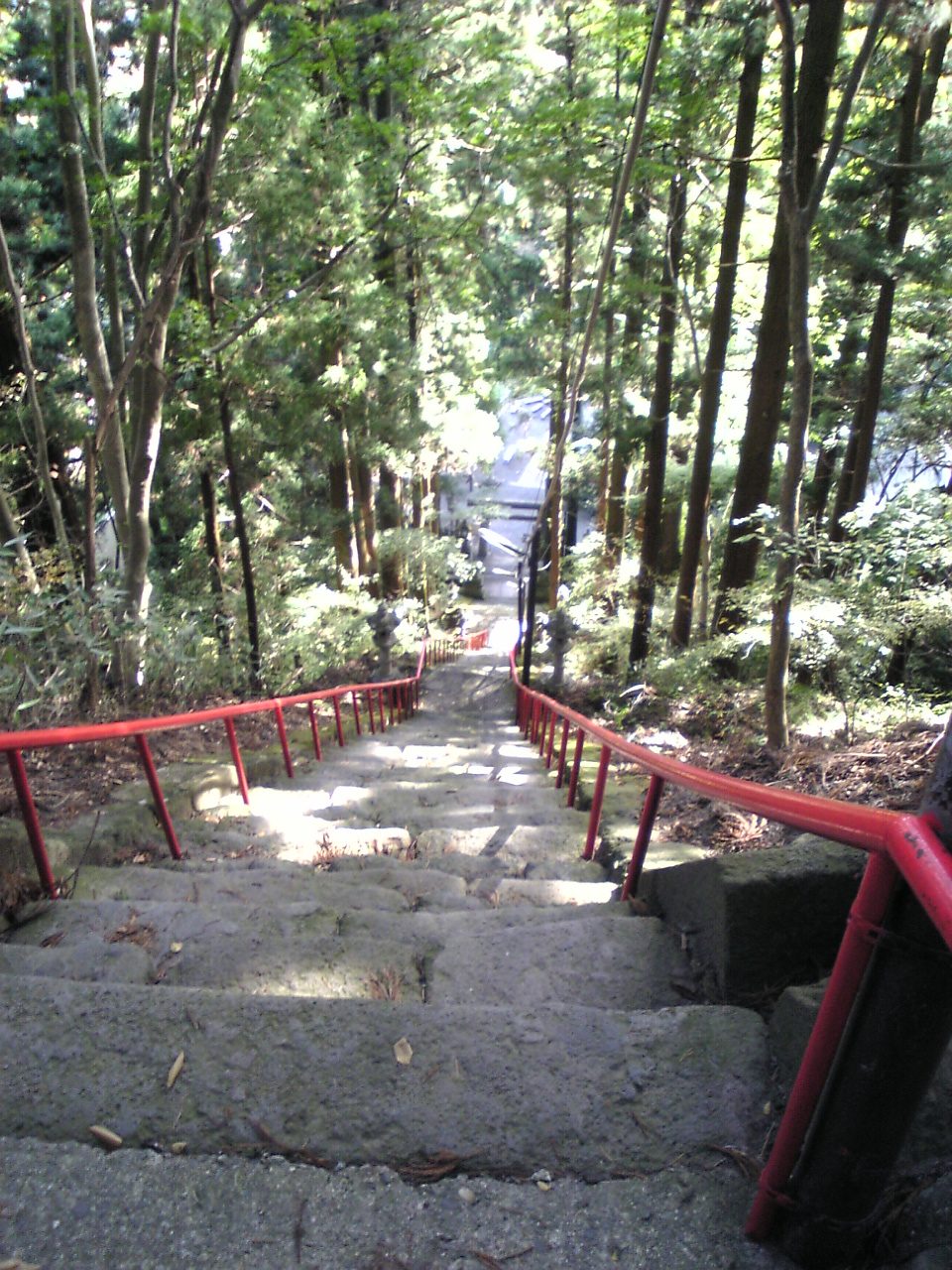 杉木立に囲まれた中之嶽神社の参道の石段