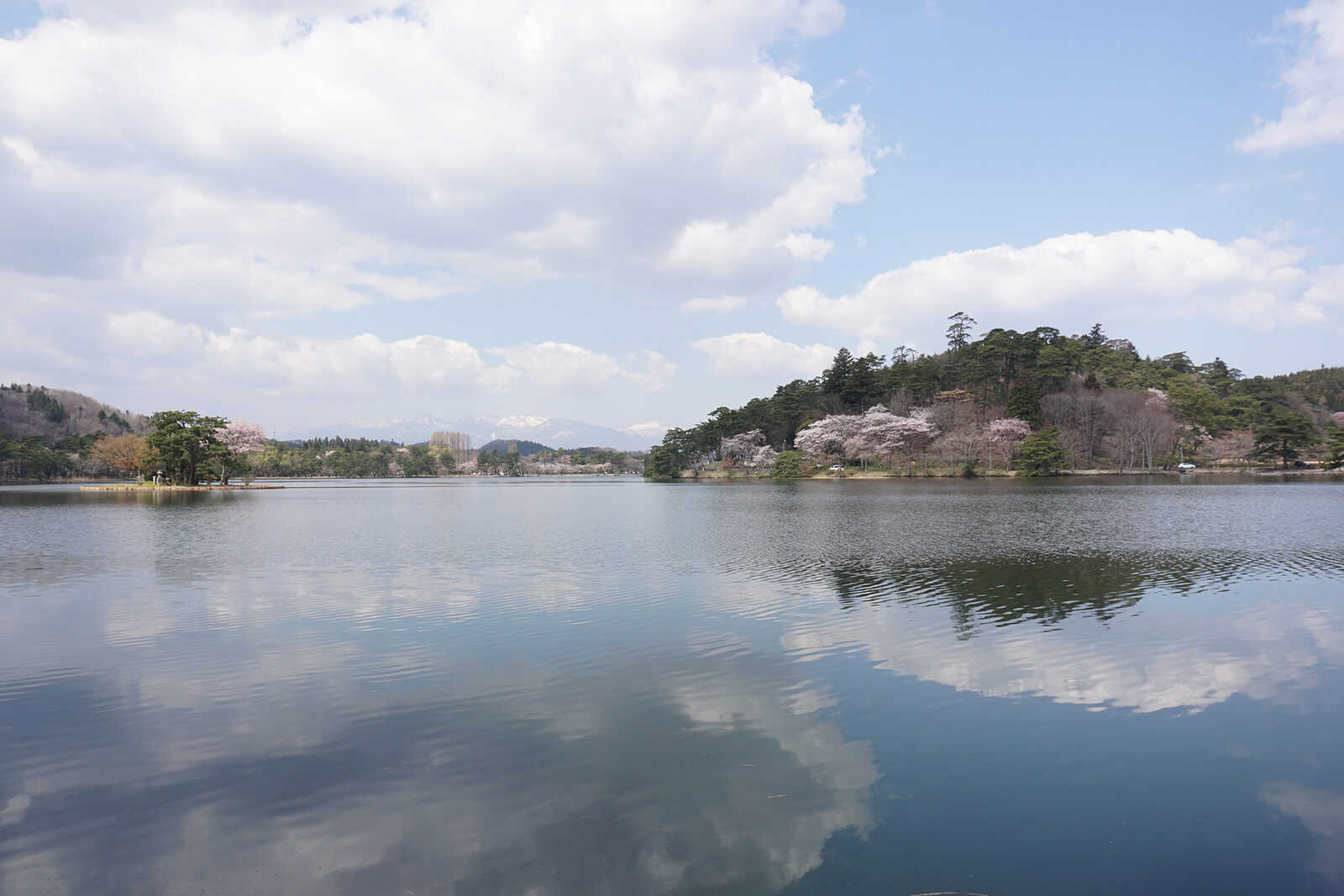 南湖公園の湖面と周囲の木々の反映