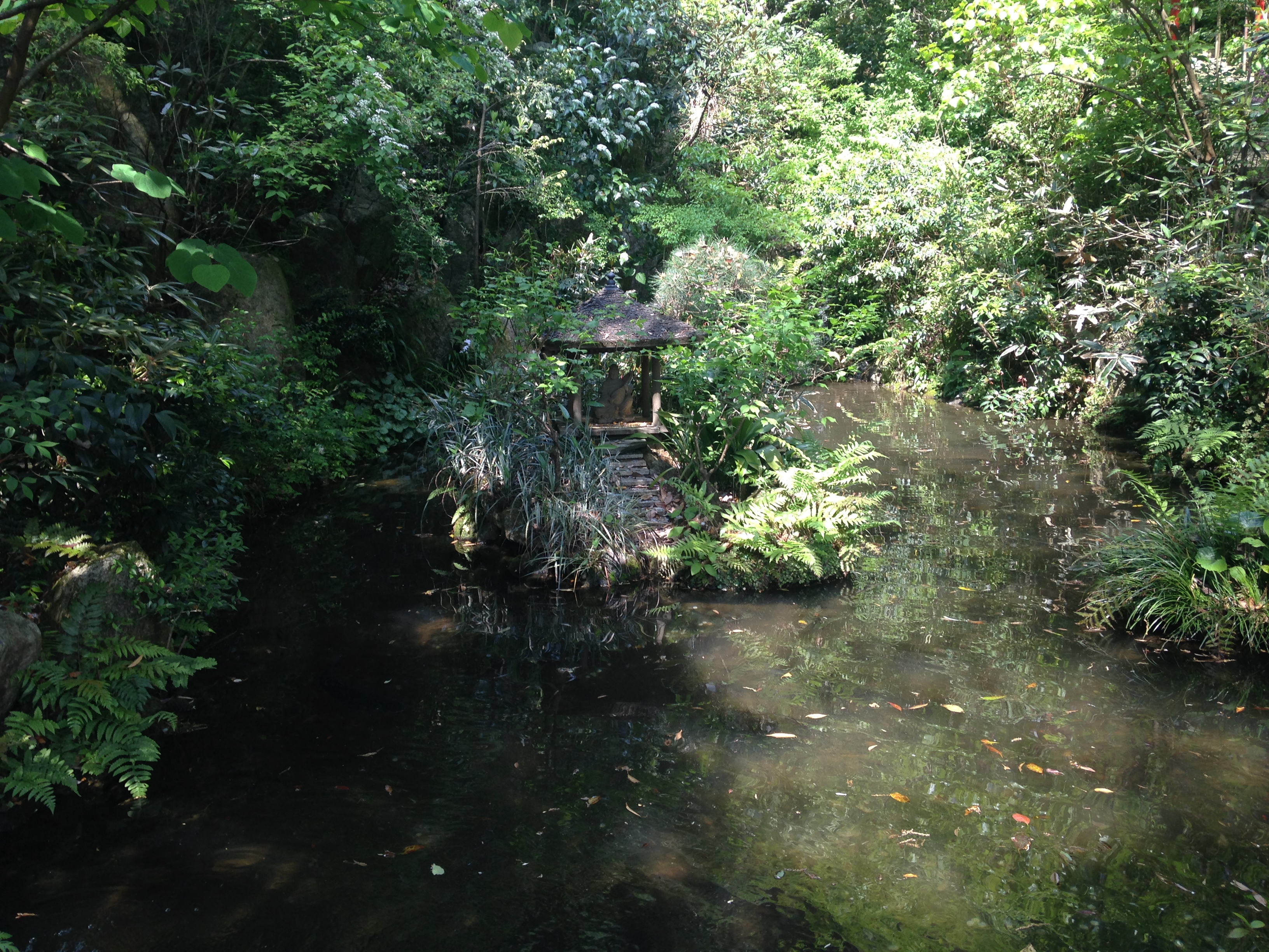 南蔵院の池と祠