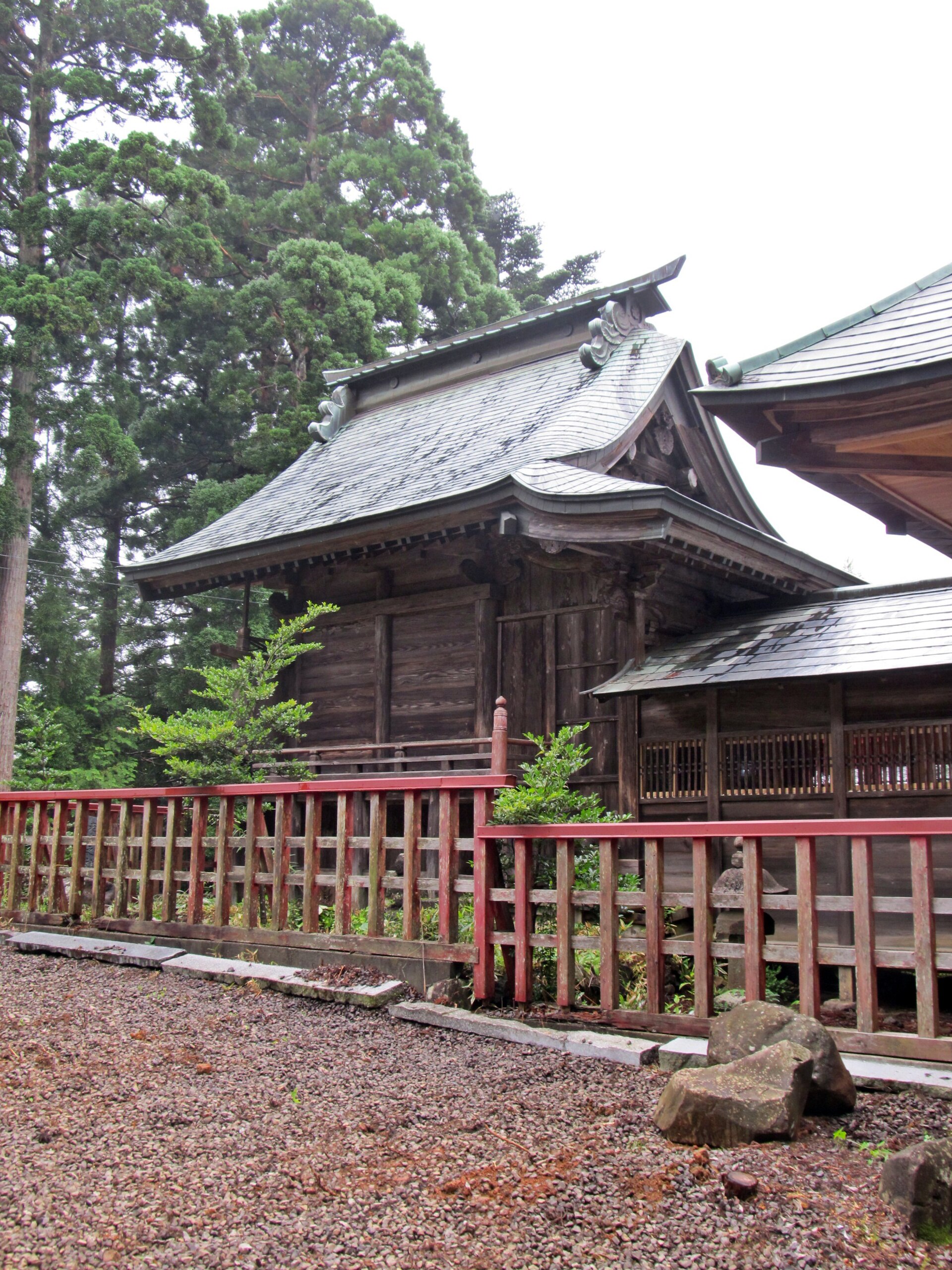 熊野那智神社の本殿と杉木立