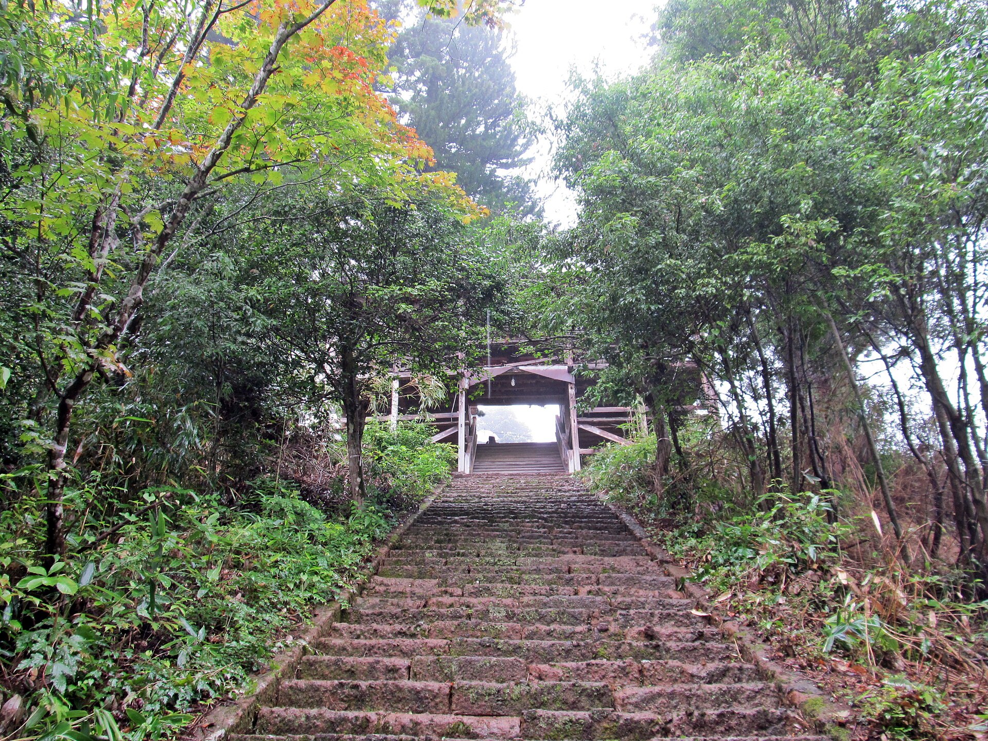 熊野那智神社の参道の石段と木立