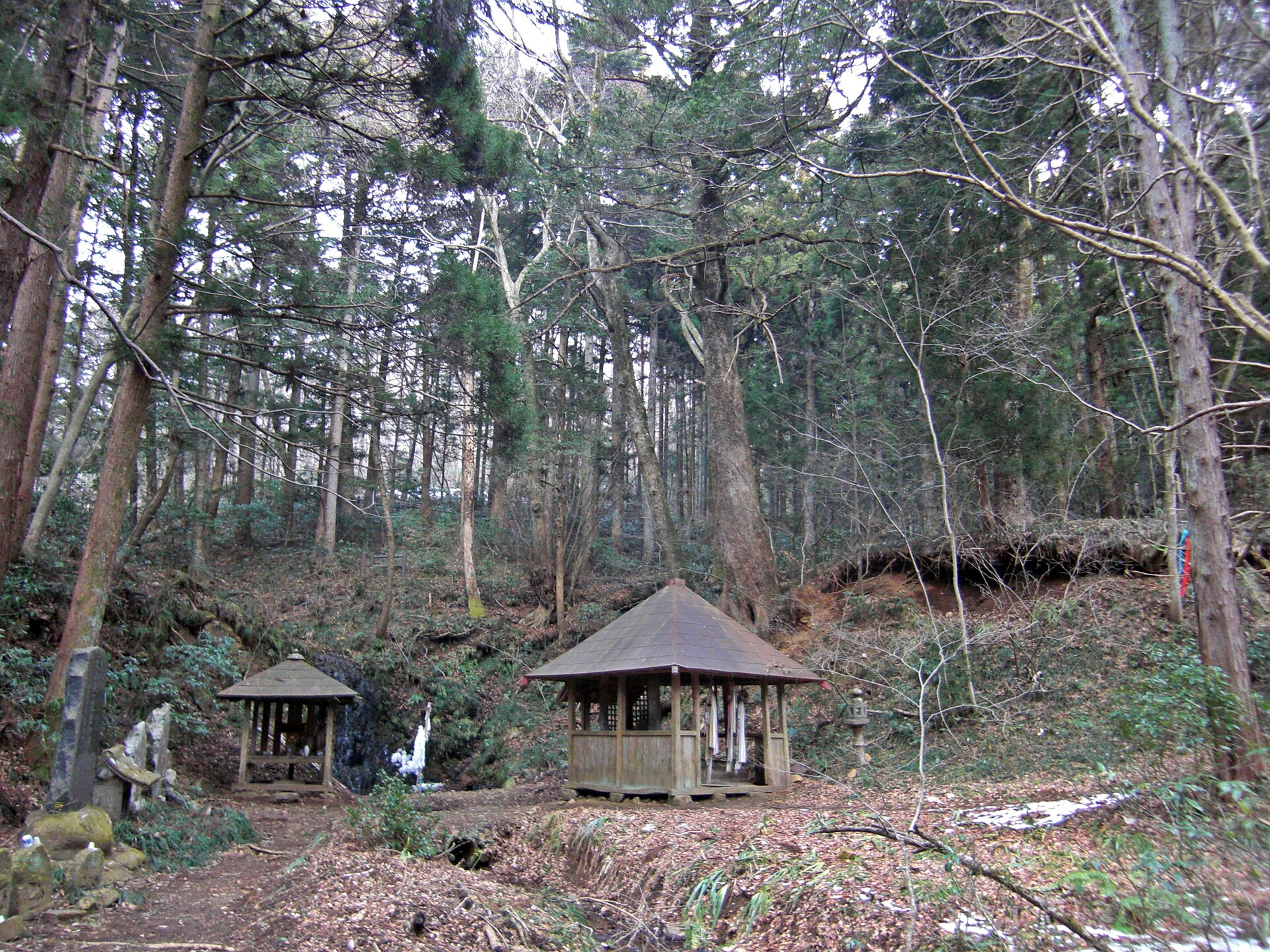 熊野那智神社の社殿裏、谷にひっそりと佇む滝沢不動尊の滝