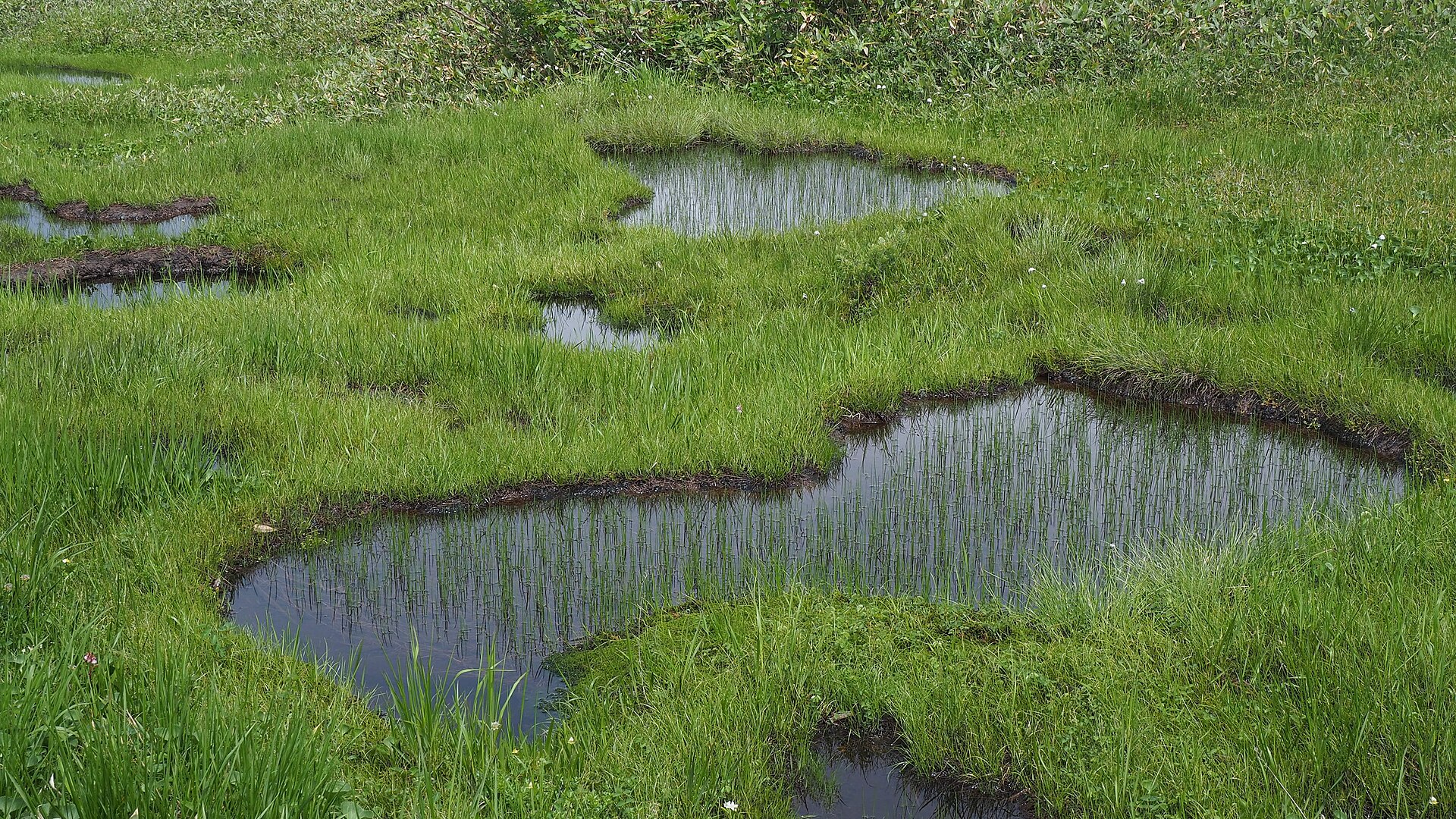 弥陀ヶ原