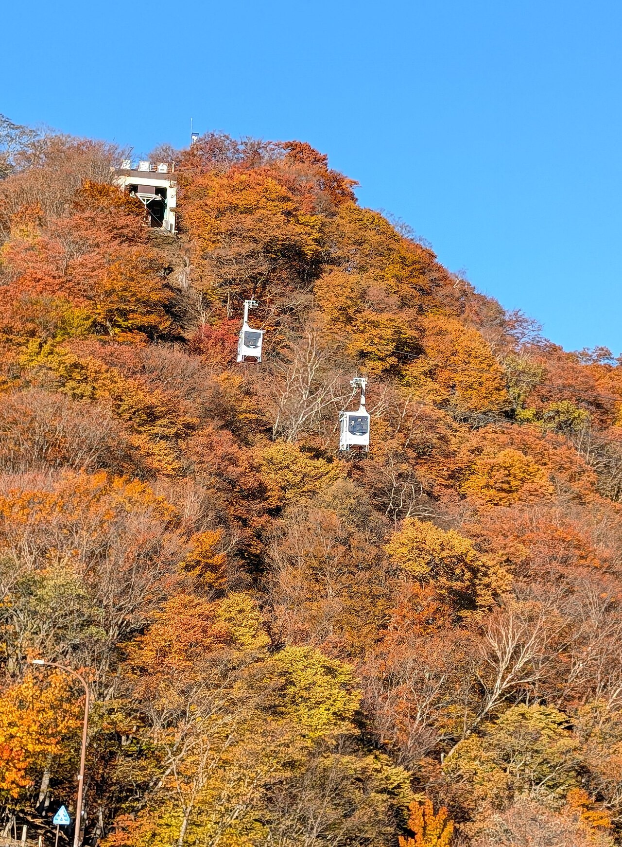 紅葉に包まれた斜面を行き交う明智平ロープウェイのゴンドラと山上の展望台