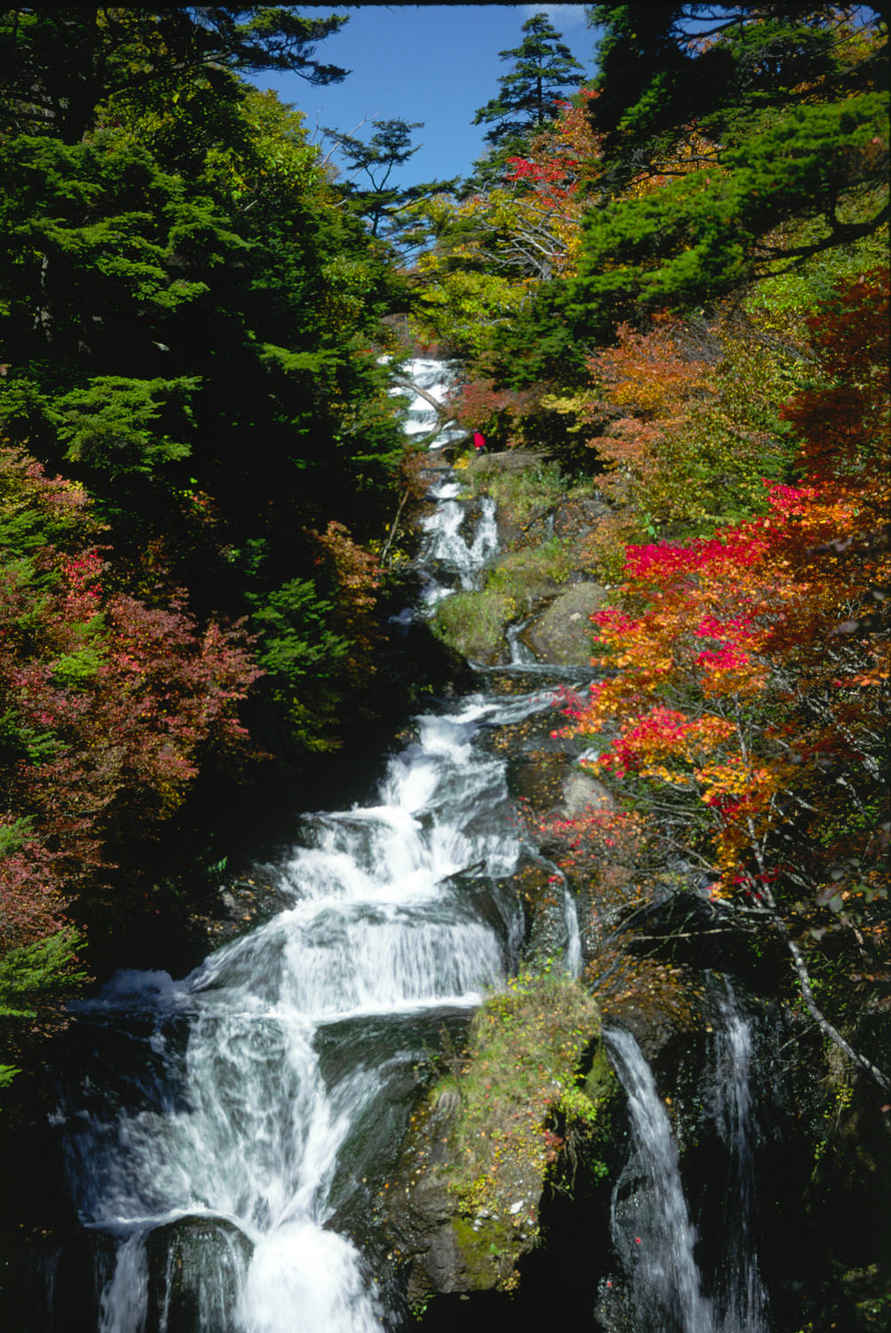 紅葉に包まれた竜頭滝を上から望む縦位置の眺め