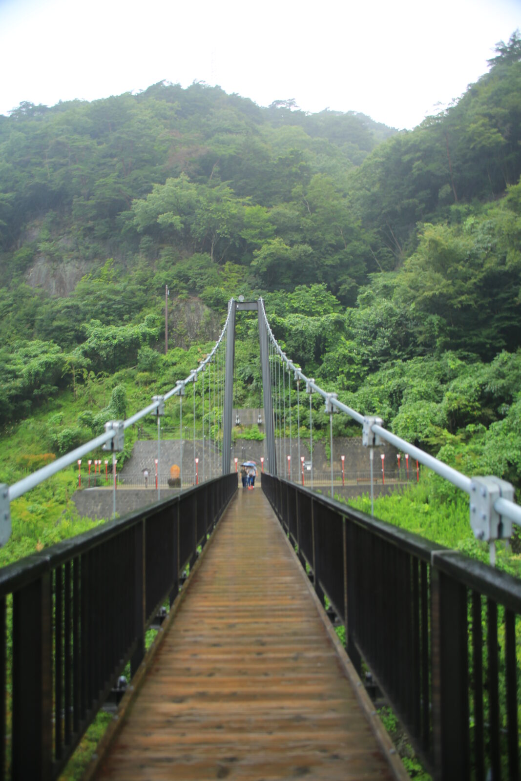 緑に包まれた山側から見た鬼怒楯岩大吊橋の全景