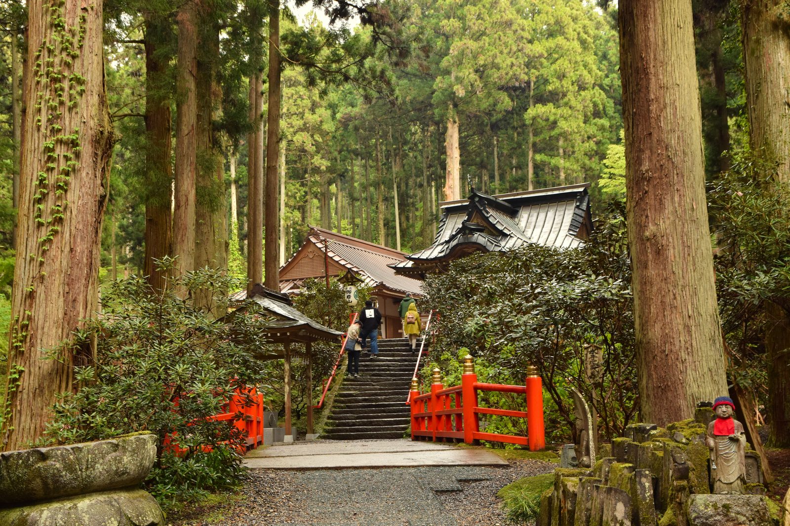 杉木立に包まれた御岩神社の参道と朱塗りの橋