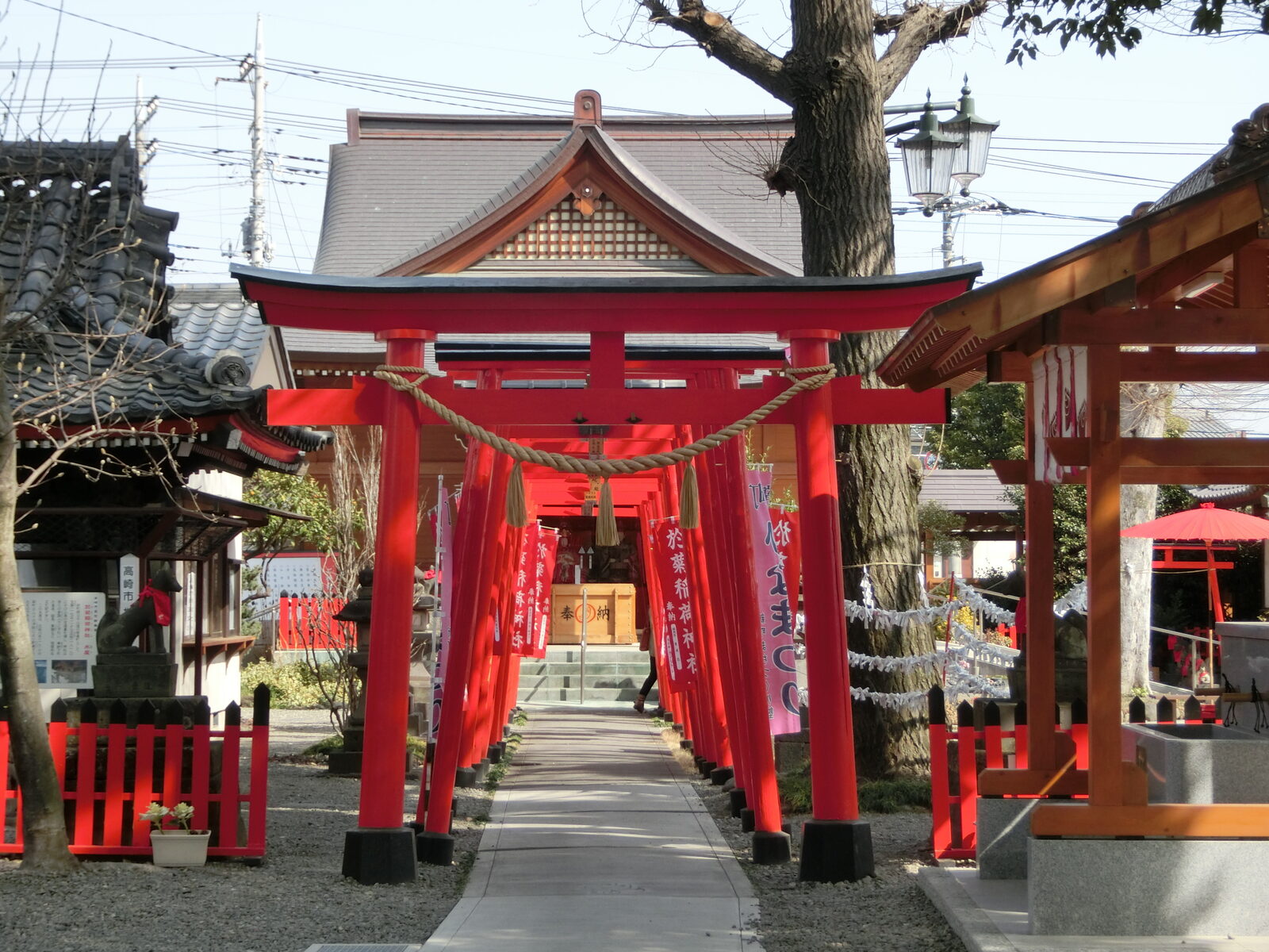 於菊稲荷神社の境内