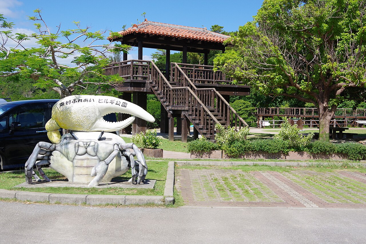 やんばるの森と、川を漕ぐ