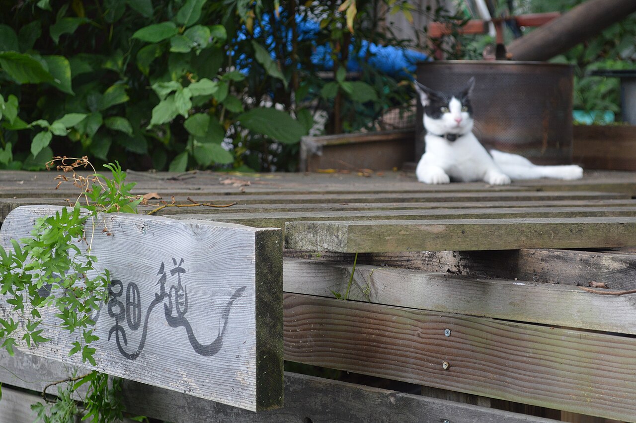 猫の細道の招き猫の置物と石段