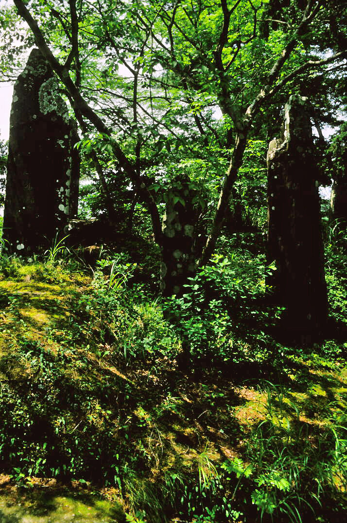 木々に囲まれ苔むした雄島の岩窟群、供養のための石塔