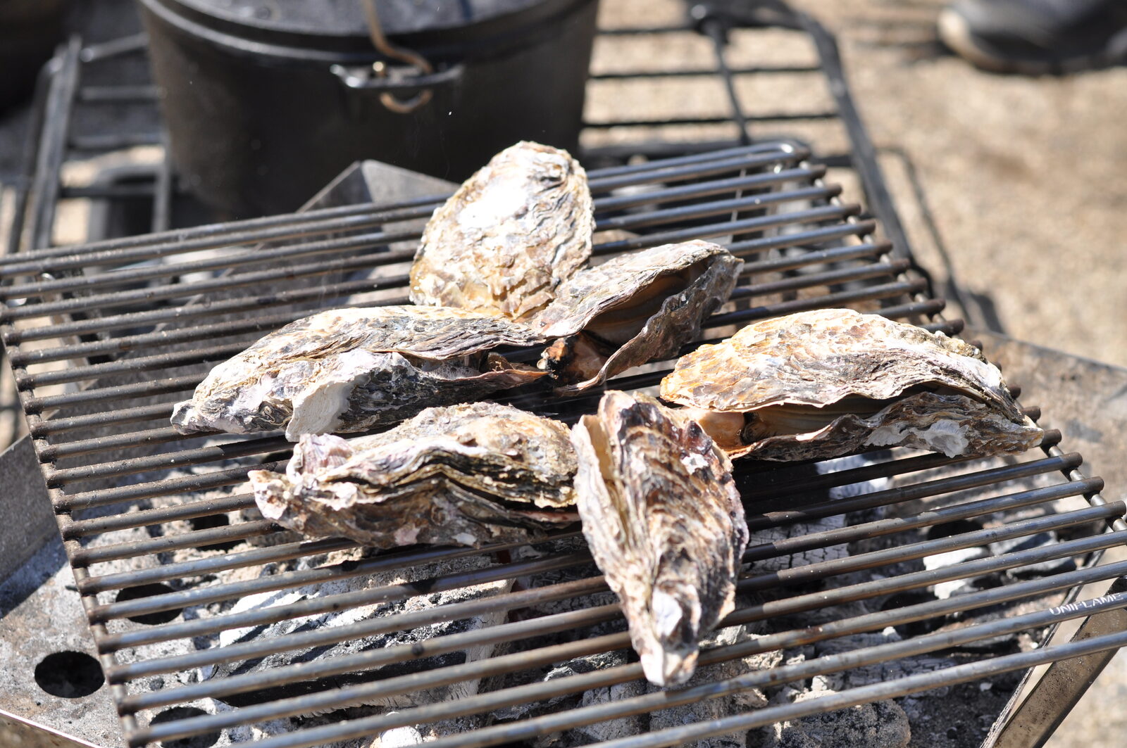 炭火で焼く松島名物の焼き牡蠣のイメージ