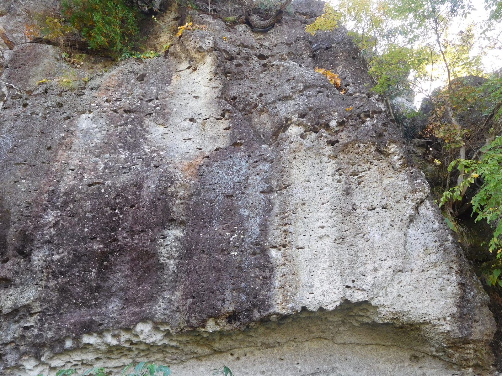 越路岩に見られる大谷石特有の縞模様の岩肌