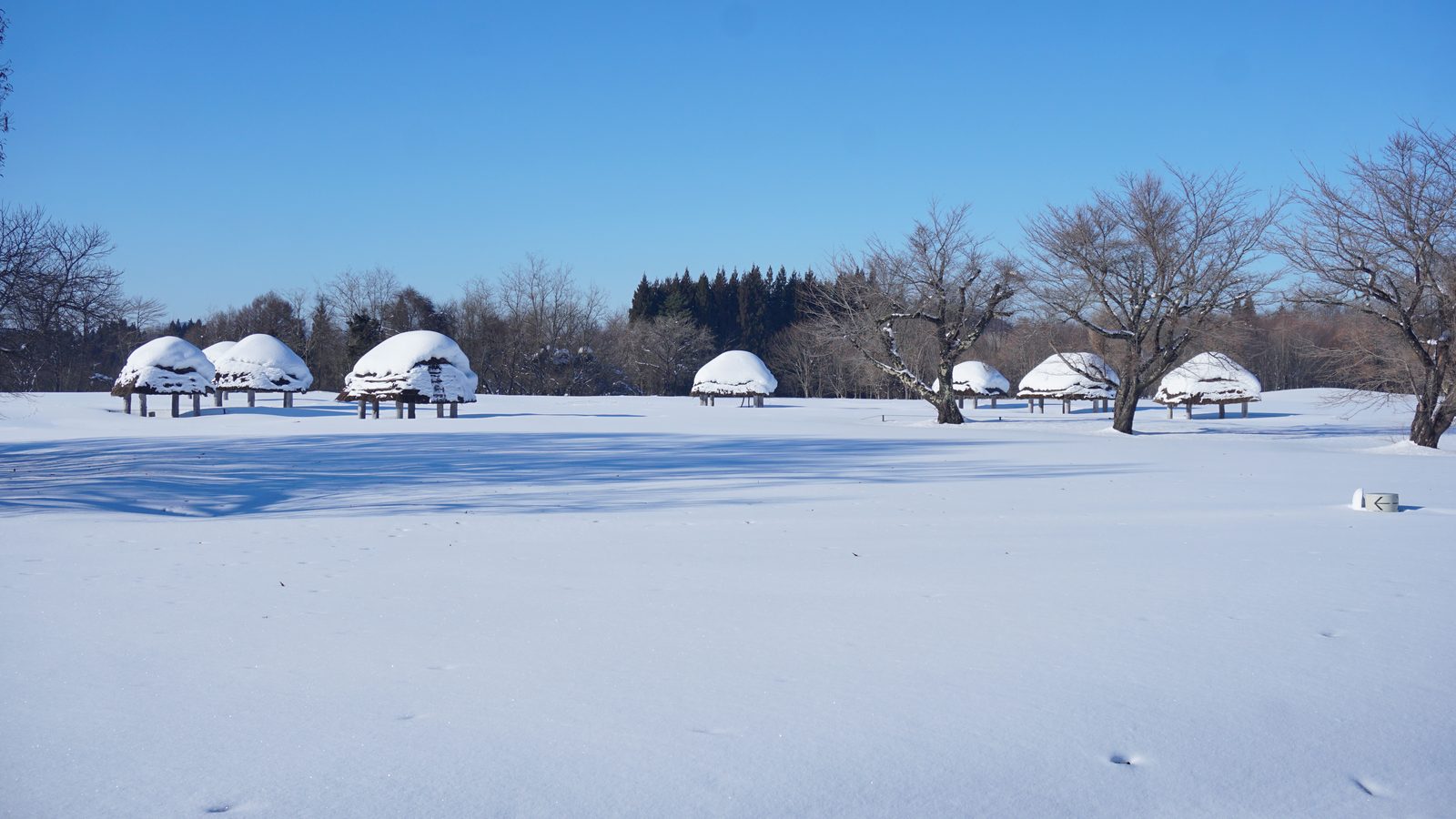 雪に覆われた大湯環状列石の冬景色