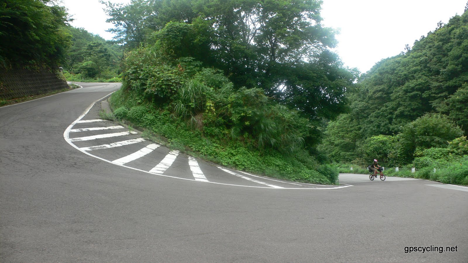 大佐渡スカイラインの展望道路