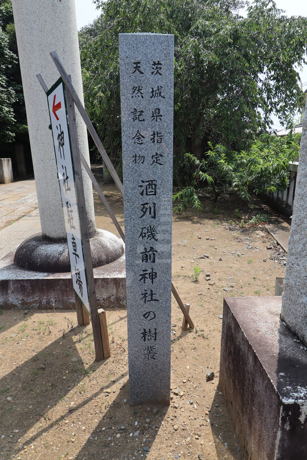 茨城県指定天然記念物、酒列磯前神社の樹叢