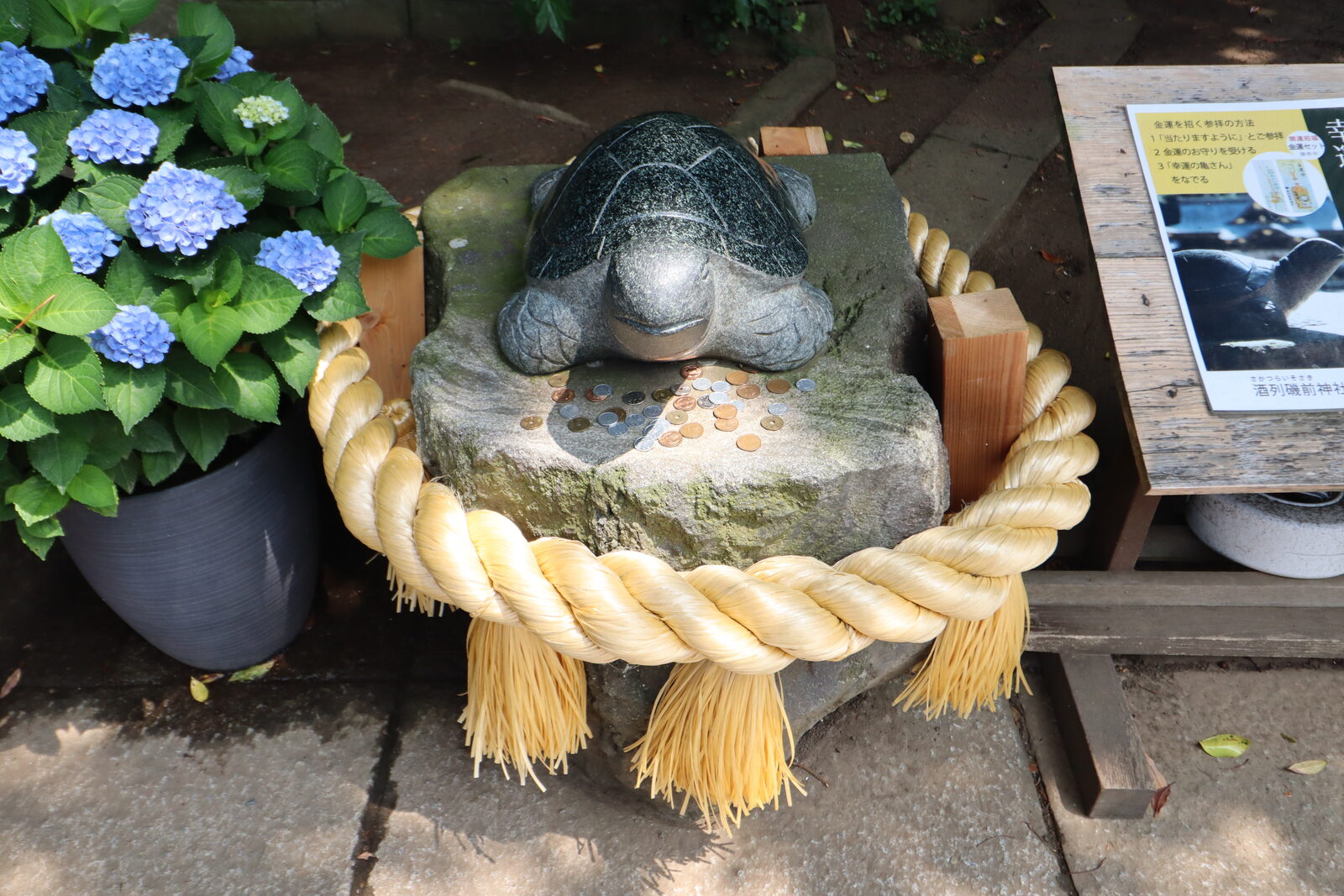 酒列磯前神社の幸運の亀の石像