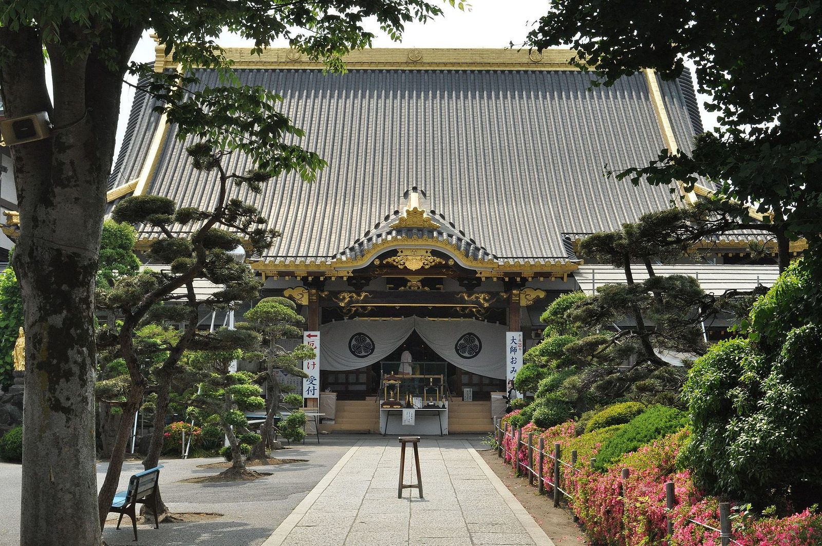 新緑に包まれる惣宗寺本堂前の参道