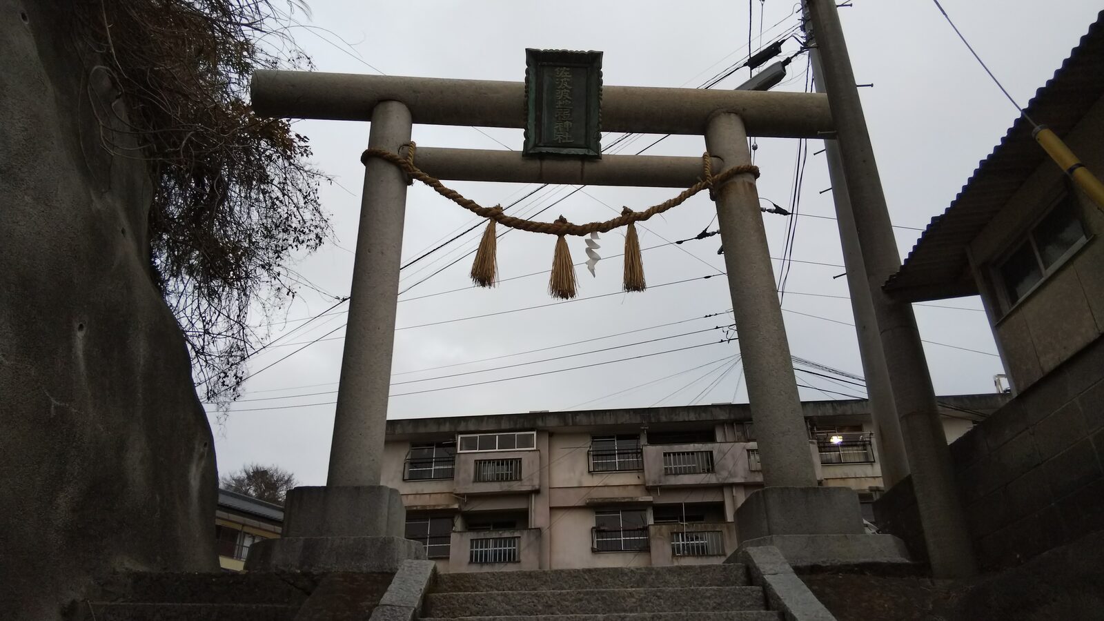 唐帰山に鎮座する佐波波地祇神社の鳥居
